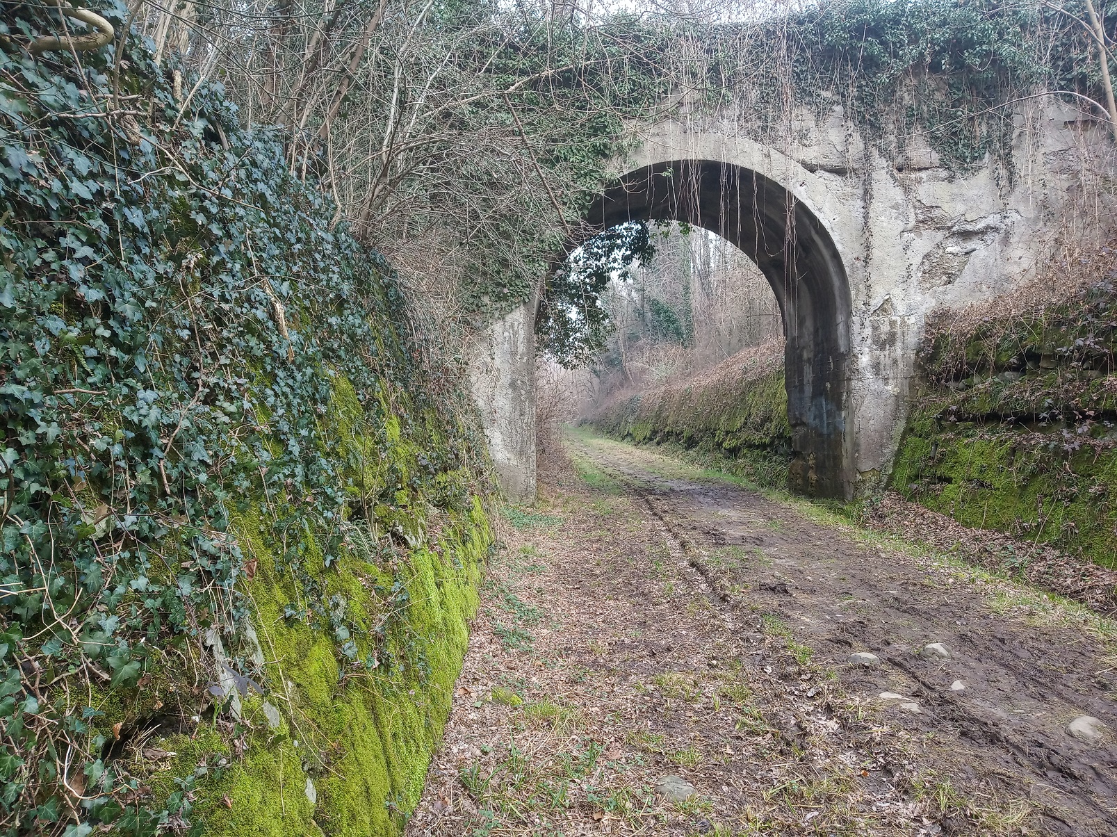 Parco Regionale della Valle Lambro
