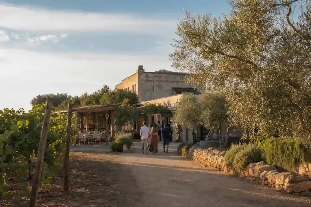 Strada sterrata verso una masseria con pergolato e tavoli all’aperto, tra vigneti e ulivi al tramonto