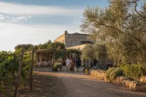 Strada sterrata verso una masseria con pergolato e tavoli all’aperto, tra vigneti e ulivi al tramonto