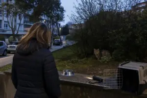 Donna di spalle vicino a ciotola e trasportino aperto; un gatto si nasconde tra i cespugli al crepuscolo