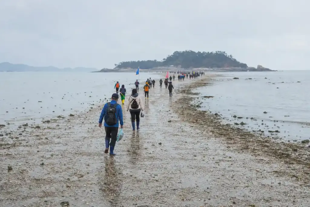 Visitatori camminano su un sentiero di sabbia emerso con la bassa marea verso un’isola, cielo coperto