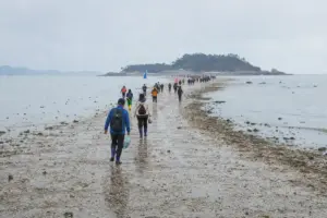 Visitatori camminano su un sentiero di sabbia emerso con la bassa marea verso un’isola, cielo coperto