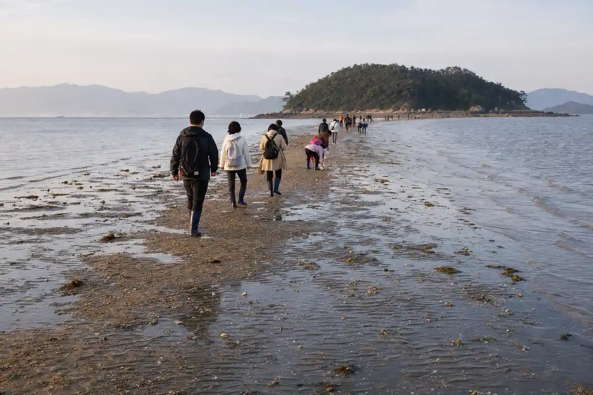 Visitatori camminano su un banco di sabbia emerso, con il mare ai lati e un’isoletta boscosa sullo sfondo
