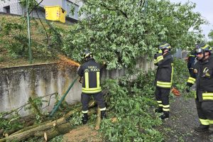 Taglio-Piante-Vigili-Fuoco-2-Luglio-2025