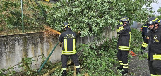 Taglio-Piante-Vigili-Fuoco-2-Luglio-2025