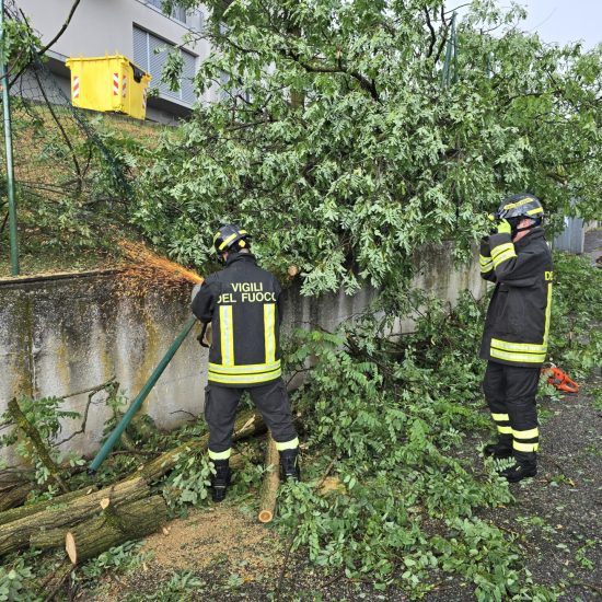 Taglio-Piante-Vigili-Fuoco-2-Luglio-2025