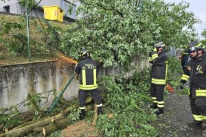 Taglio-Piante-Vigili-Fuoco-2-Luglio-2025
