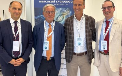 17 giugno 1
