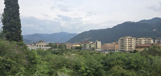 ticosa