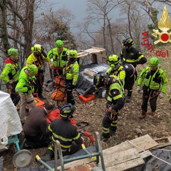 2a39d247-0e24-4d75-81ba-044f889f29c8