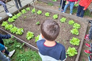 Istituto Lora-Lipomo