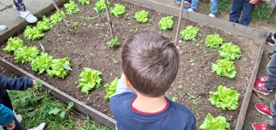 Istituto Lora-Lipomo