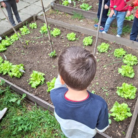 Istituto Lora-Lipomo