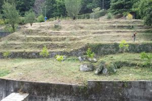 Orti_sociali_cernobbio_Matteo_Monti