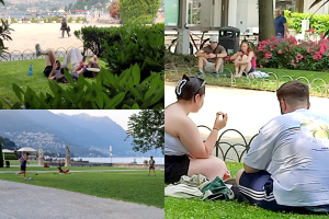 Aiuole-Piazza-Cavour-Villa-Olmo-Turisti-Divieti-Combo