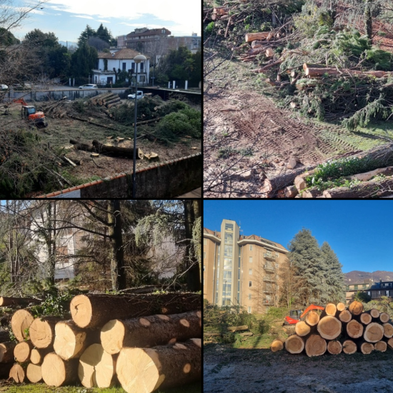 Alberi-Abbattuti-Erba-Ilaria-Alpi-Combo