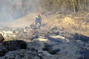 Antincendio-Boschivo-Provincia-Como (1)