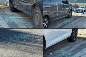 Auto-Vandali-Vandalizzate-Parcheggio-Stazione-Camerlata-Combo
