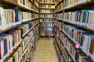 Biblioteca Pigra Interno