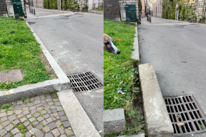 Bordura-Aiuola-Via-Diaz-Mura-Viale-Cattaneo-Città-Murata-Combo-222