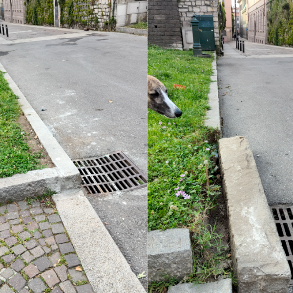 Bordura-Aiuola-Via-Diaz-Mura-Viale-Cattaneo-Città-Murata-Combo-222