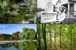 Bosco-delle-Querce-Seveso-Combo-1