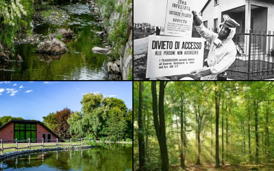 Bosco-delle-Querce-Seveso-Combo-1