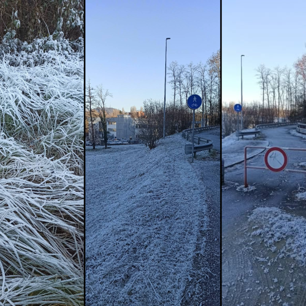 Brina-Meteorologia-Comasca-Combo