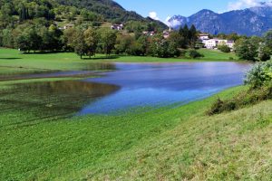 Campi allagati a Grandola e Uniti