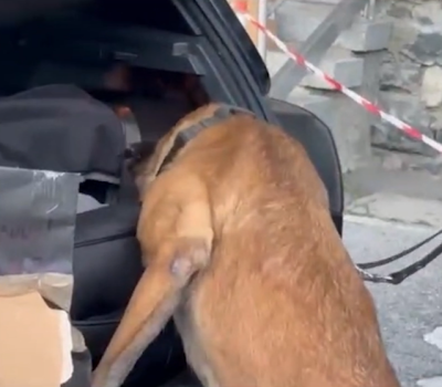 Cane-Antidroga-Finanza