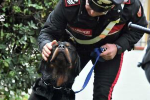 Cane-Salvato-Carabinieri-1