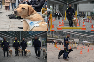 Cani-Guida-Lions-Regione-Lombardia-2