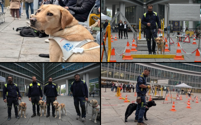 Cani-Guida-Lions-Regione-Lombardia-2