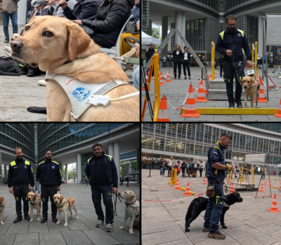 Cani-Guida-Lions-Regione-Lombardia-2