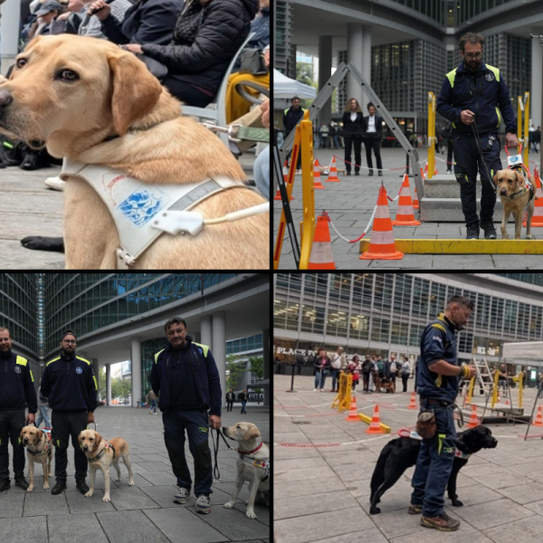 Cani-Guida-Lions-Regione-Lombardia-2