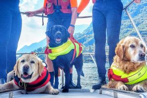 Cani salvataggio sul Ceresio - crediti foto Gabriele Mansi - GM Photography 2
