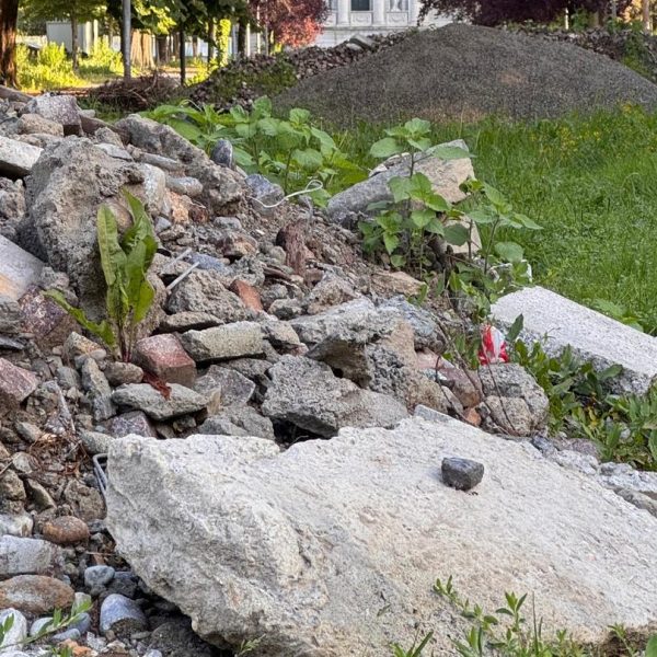 Cantiere-Giardini-a-Lago 2
