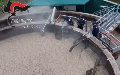 Carabinieri-Forestali-Sversamento-Bergamo-Brescia (1)