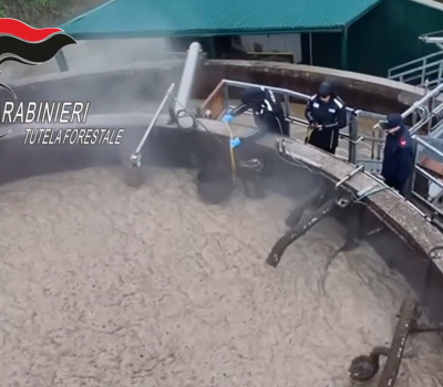 Carabinieri-Forestali-Sversamento-Bergamo-Brescia (1)