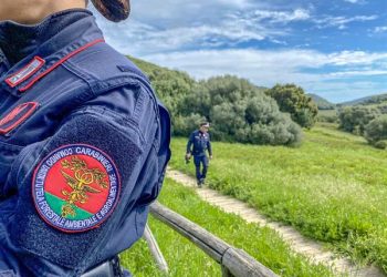 Carabinieri-Forestali