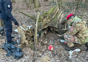 Carabinieri-Spaccio-Boschi-1