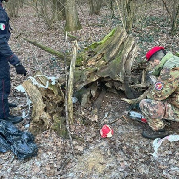 Carabinieri-Spaccio-Boschi-1