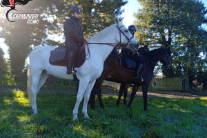 Carbinieri-Cavallo