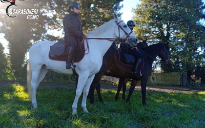 Carbinieri-Cavallo