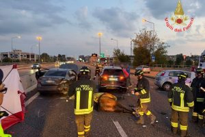 Cavalli-Valassina-Vigili-del-Fuoco (1)