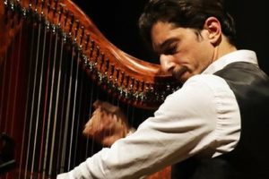 Celtic Harp Orchestra