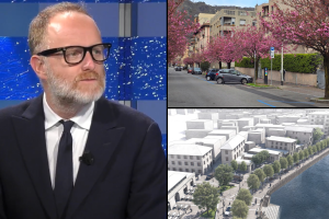 Ciliegi-Viale-Geno-Lungolario-Trieste-Rapinese-Etv-Combo