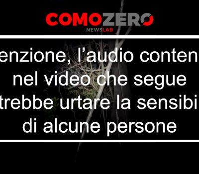 Cinghiali-Video-1