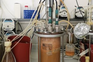 Coltivazione microbica in fermentatore