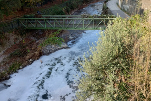 Cosia-Schiuma-18-novembre-1